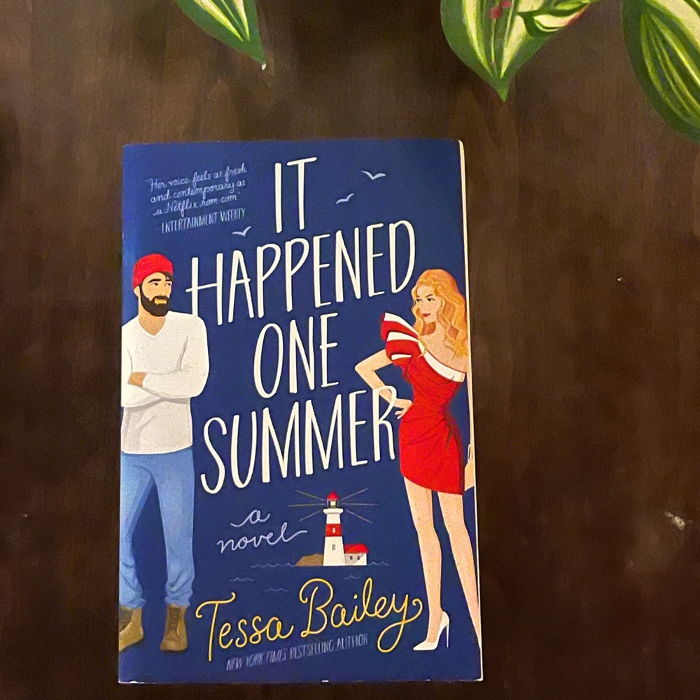 It Happened One Sunmer Book